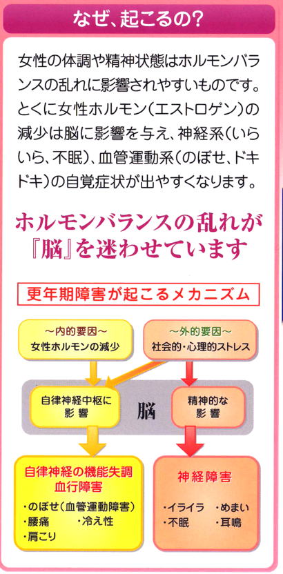 XNN闝R